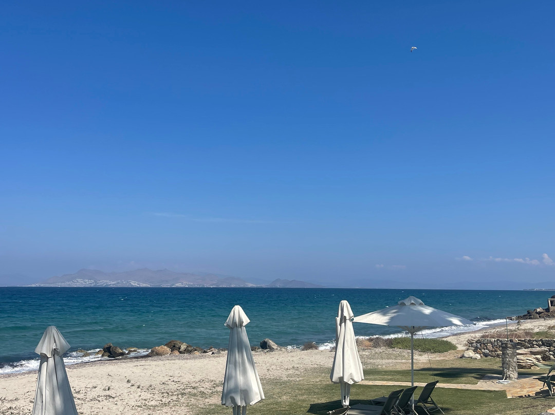 伊琳娜海滩公寓式酒店主图