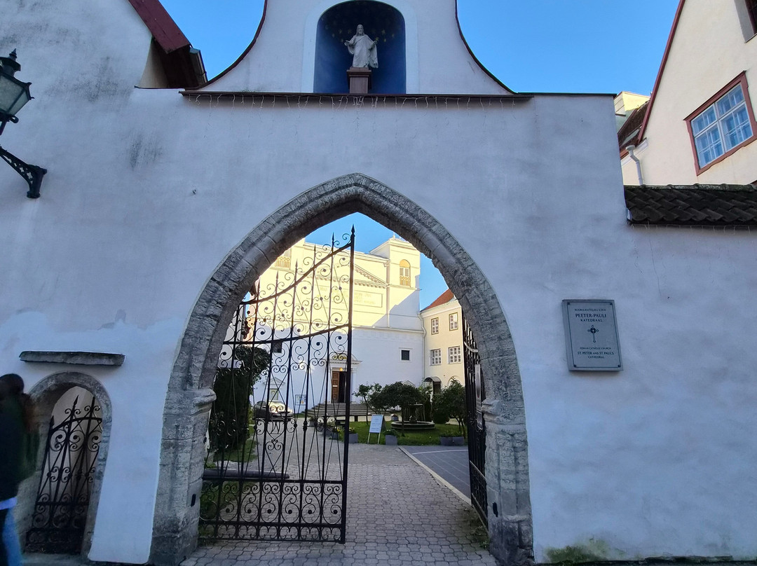 Catholic Cathedral of St Peter & St Paul-塔林必去景点