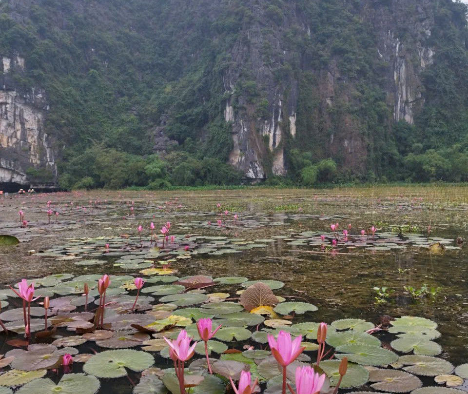 AmGo Travel-Hoan Kiem必去景点