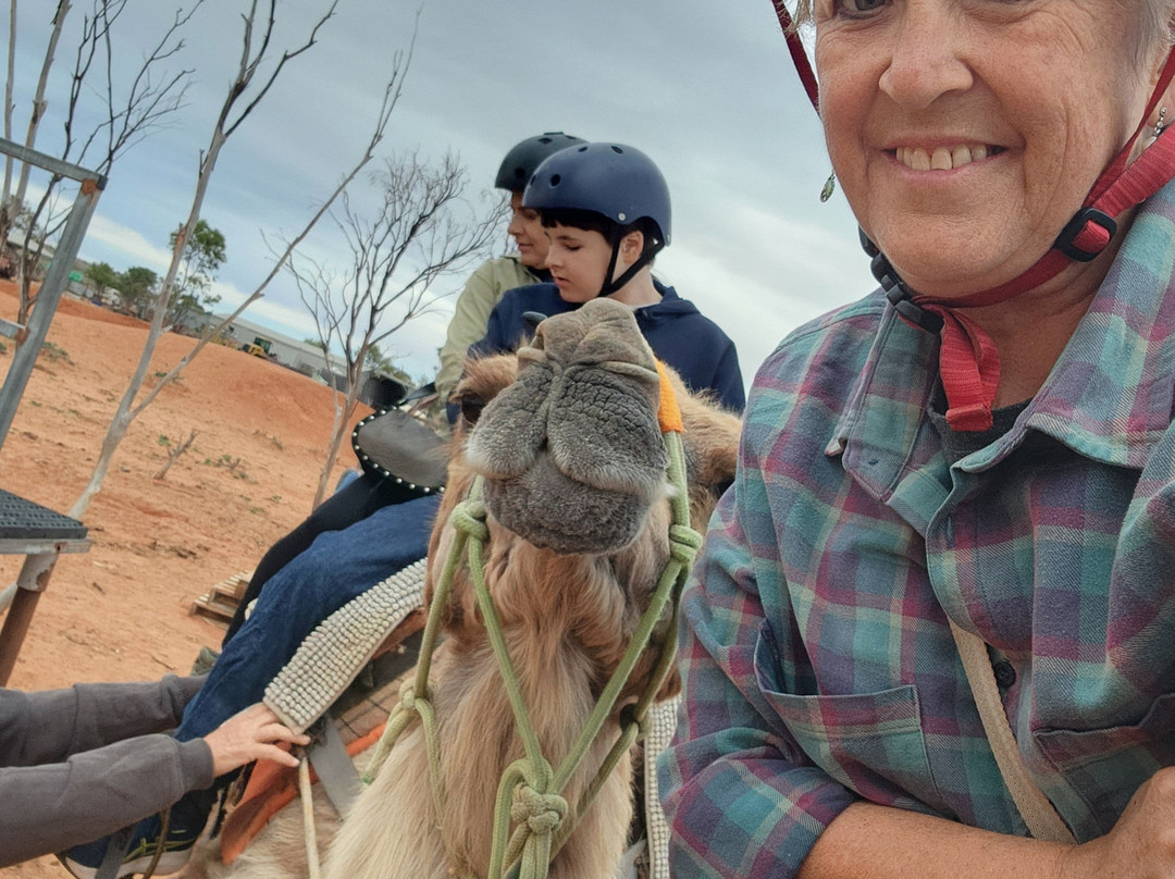 Silverton Outback Camels-Silverton必去景点