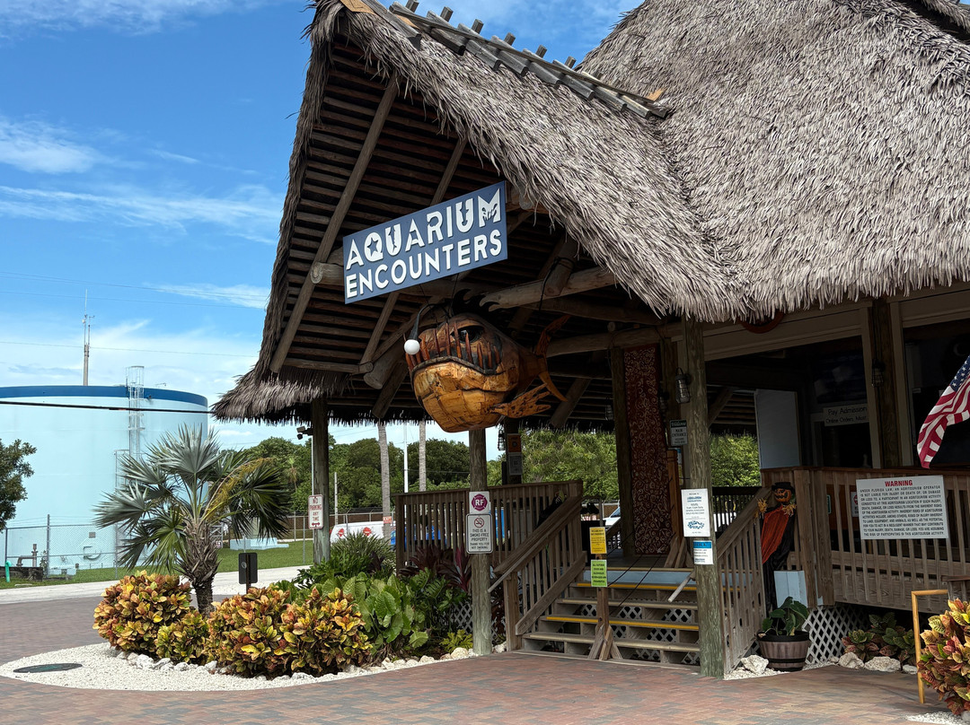 Florida Keys Aquarium Encounters-马拉松必去景点
