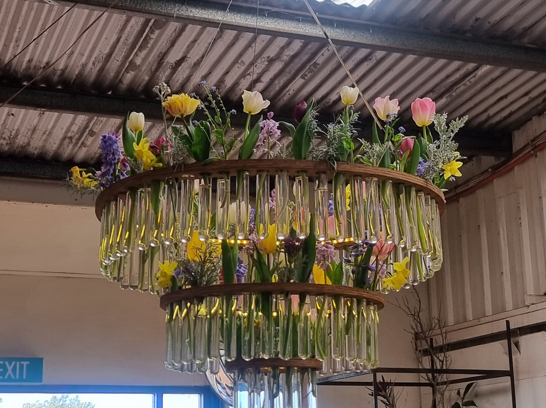 Table Cape Tulip Farm-温耶德必去景点