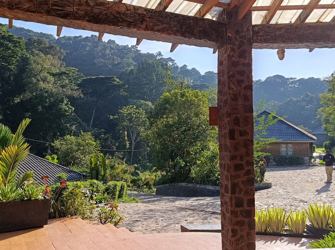 Dorotia's Bwindi Eco Tourism Resort