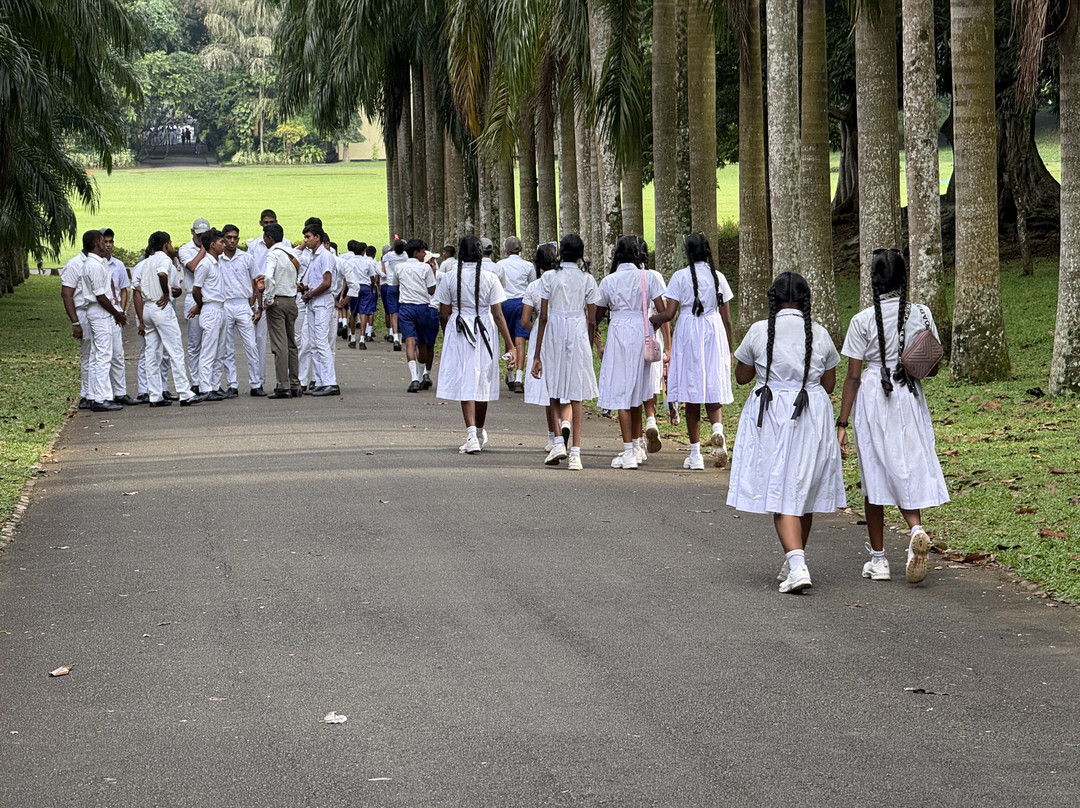 Royal Botanic Gardens Peradeniya-康提必去景点