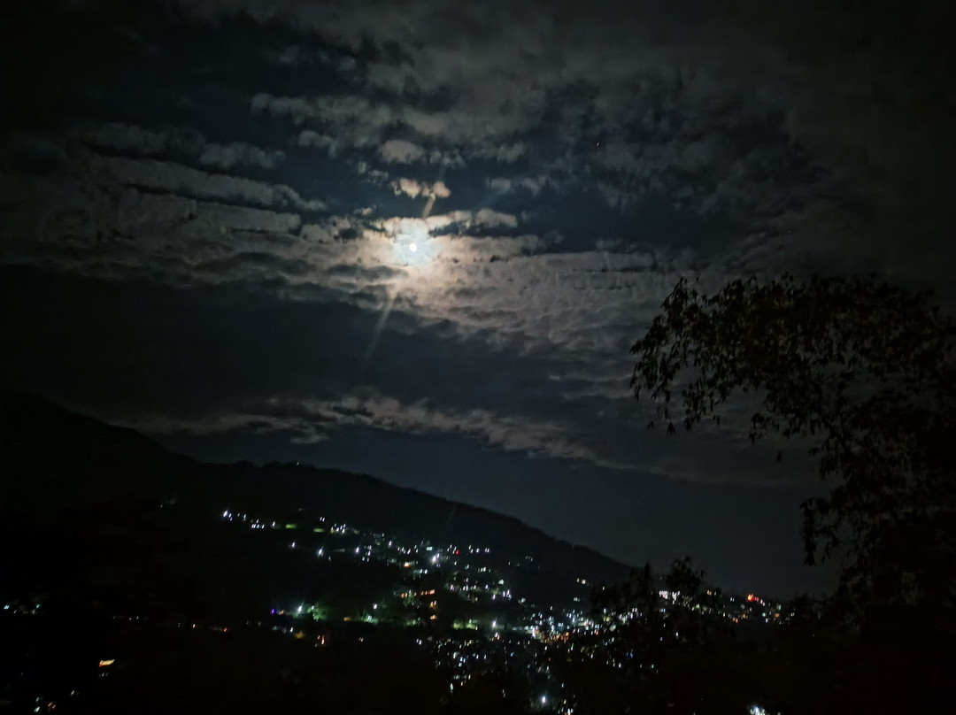 Tshering And Driver's Tour And Travels