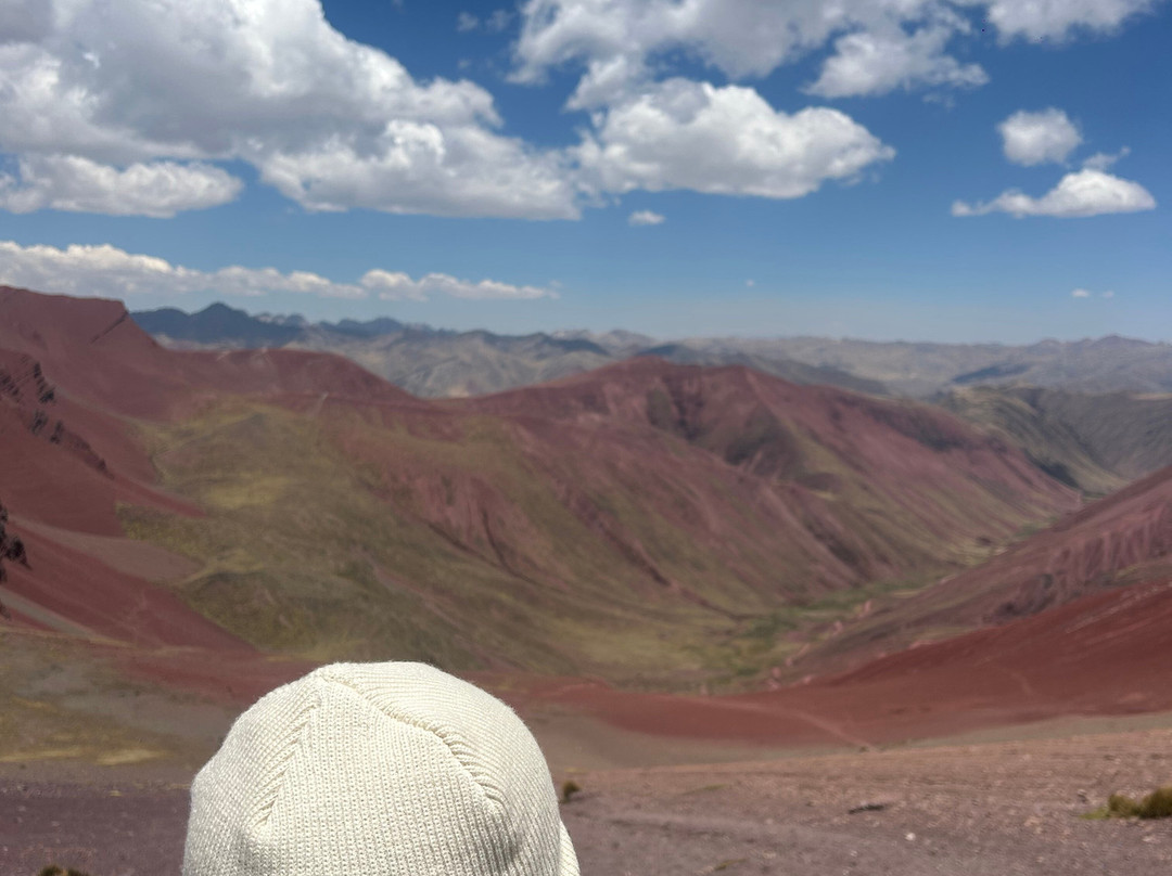 Alpaca Expeditions-库斯科必去景点