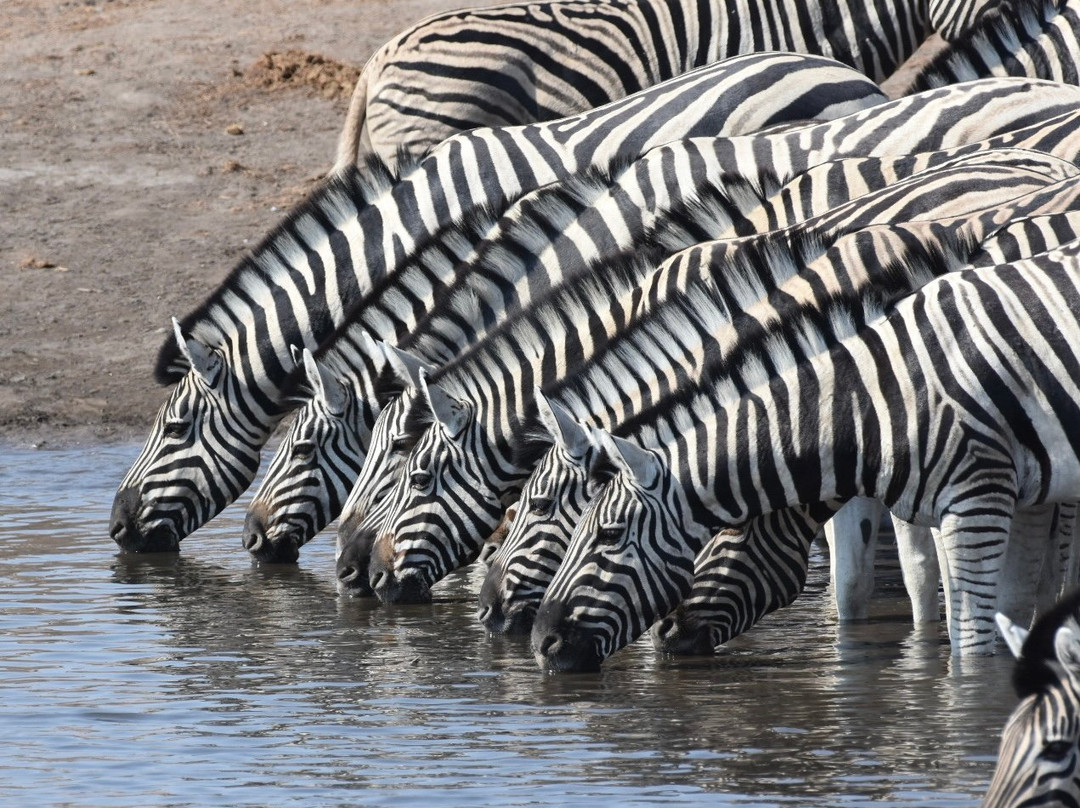 Namibia Tours & Safaris-斯瓦科普蒙德必去景点