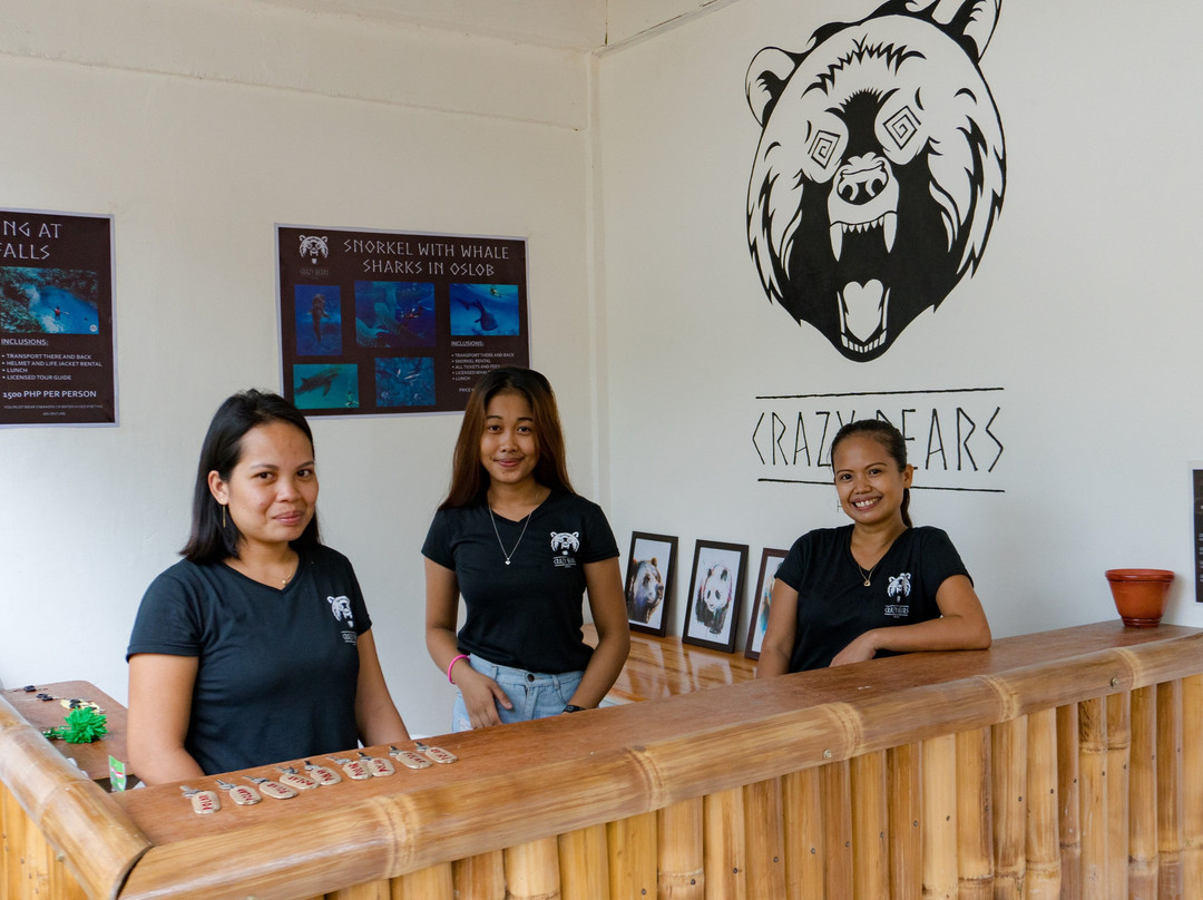 莫阿尔博阿尔酒店住宿-Crazy Bears Hostel