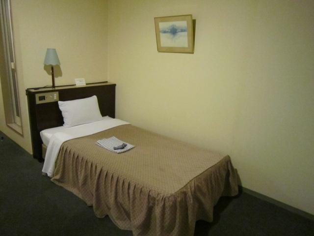 Esaka Cantral Hotel-客卧