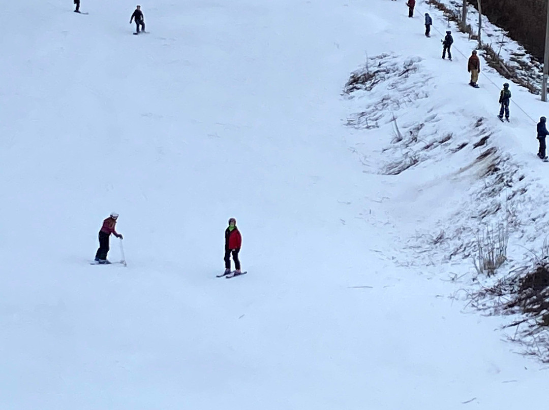 Brantling Ski Center景点图片