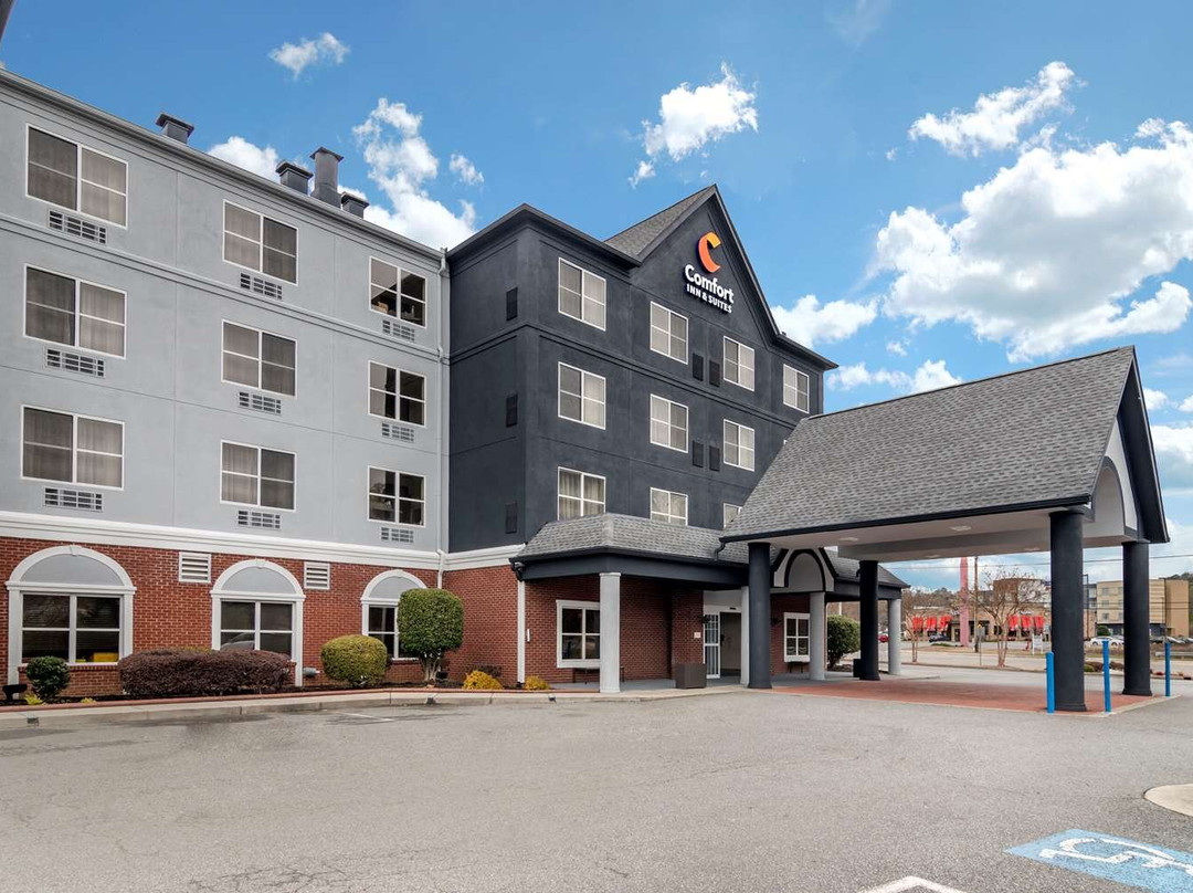 Comfort Inn & Suites Calhoun South主图