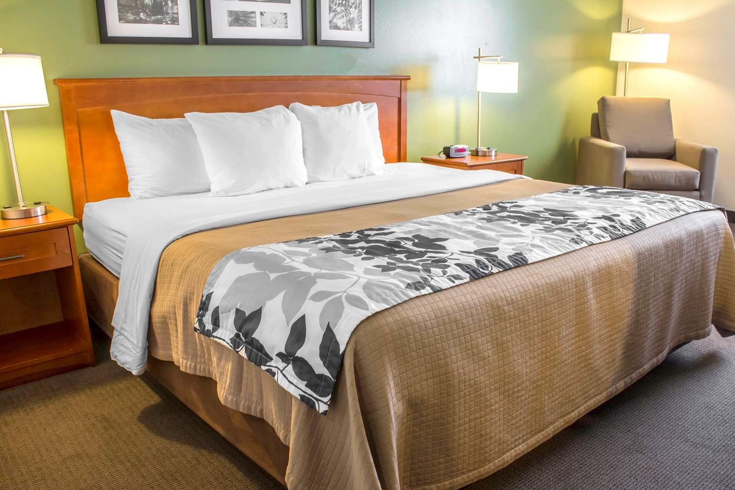 Sleep Inn & Suites-官方