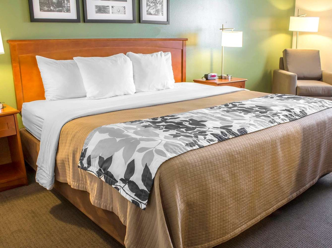 Sleep Inn & Suites主图