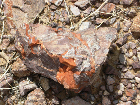 Columbus旅游景点-Rockhound State Park