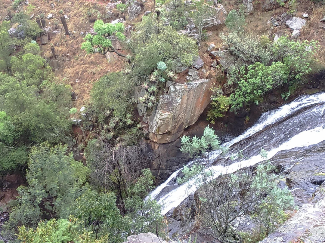 Wathaba Hiking Trail - Day Tours景点图片