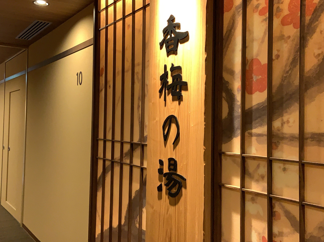 水户市酒店住宿-Dormy Inn Mito Hot Springs