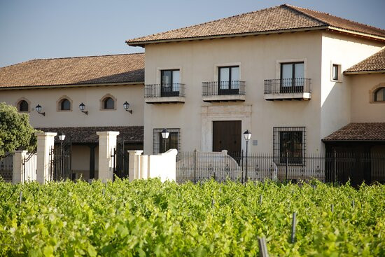 Bodega Sierra Norte - La Roda景点图片