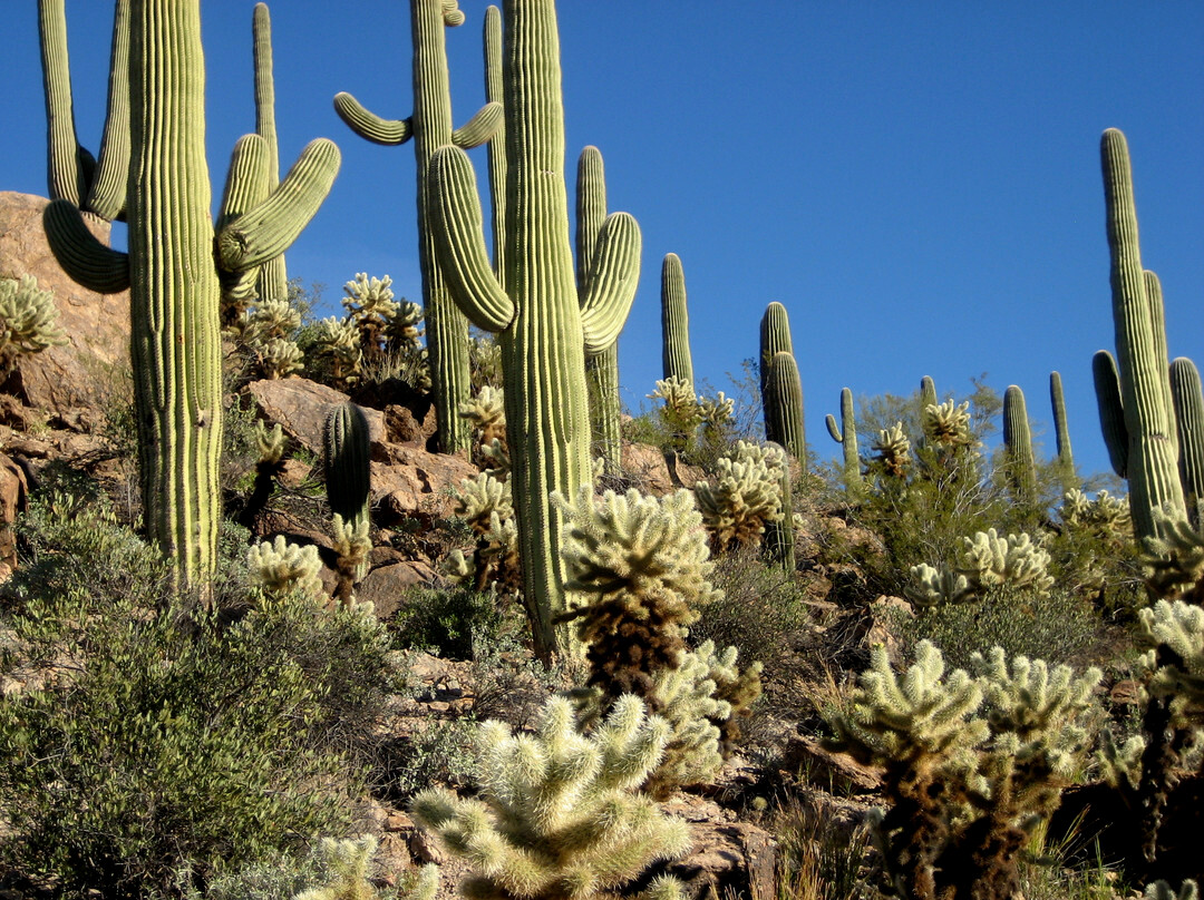 Red Hills Visitor Center