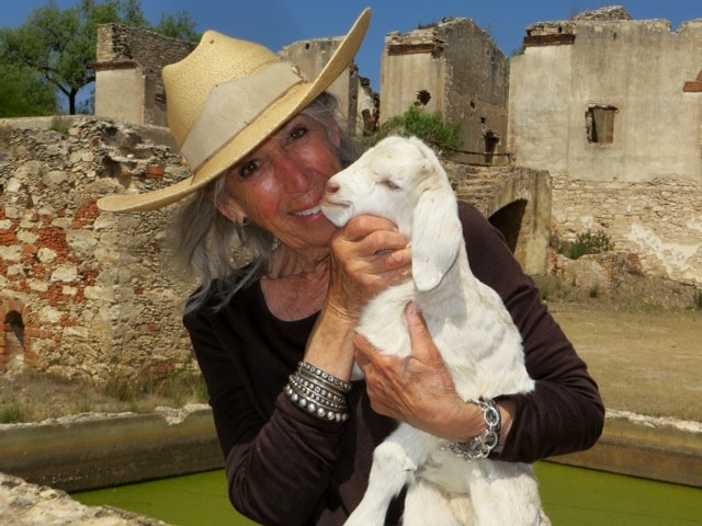 Helene Kahn Tours-圣米格尔护城必去景点