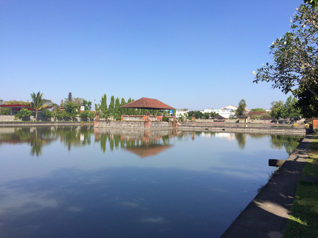 Mayura Water Palace景点图片