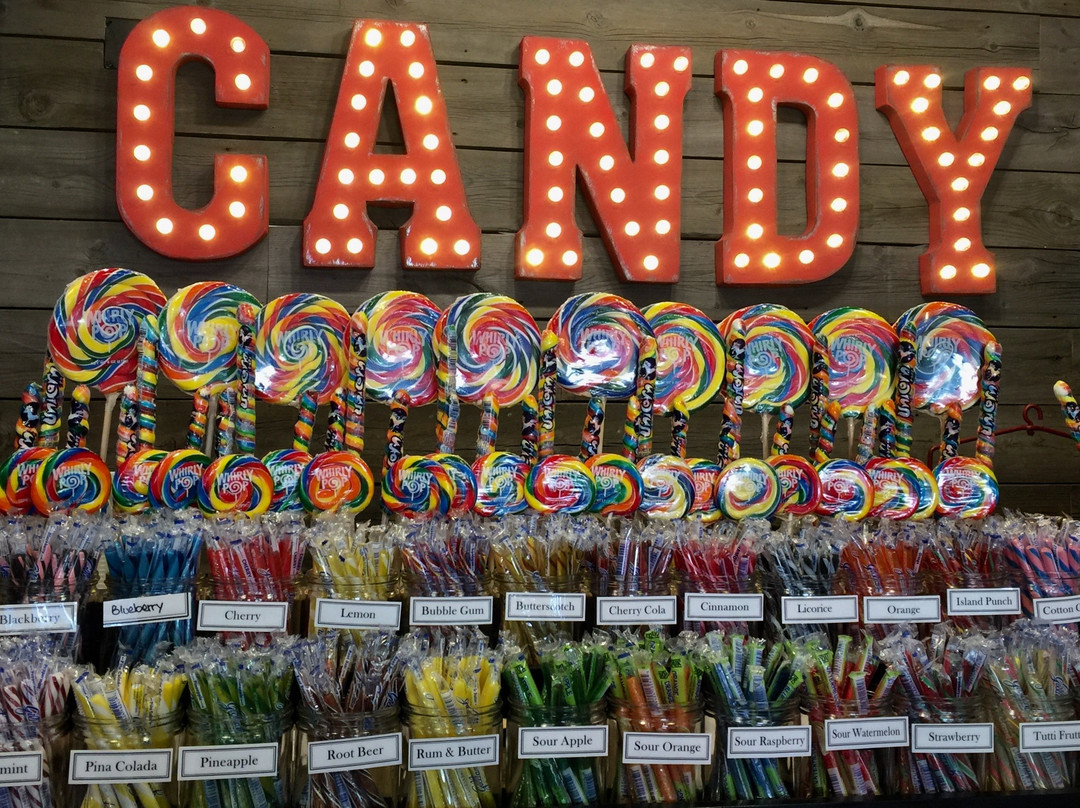 The Old Fashion Candy Store-埃斯蒂斯公园必去景点