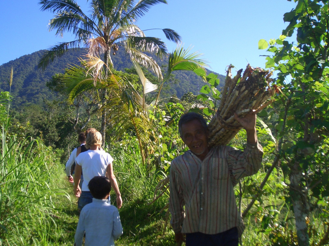 The Organic Farm & Cafe Bali-Angsri必去景点