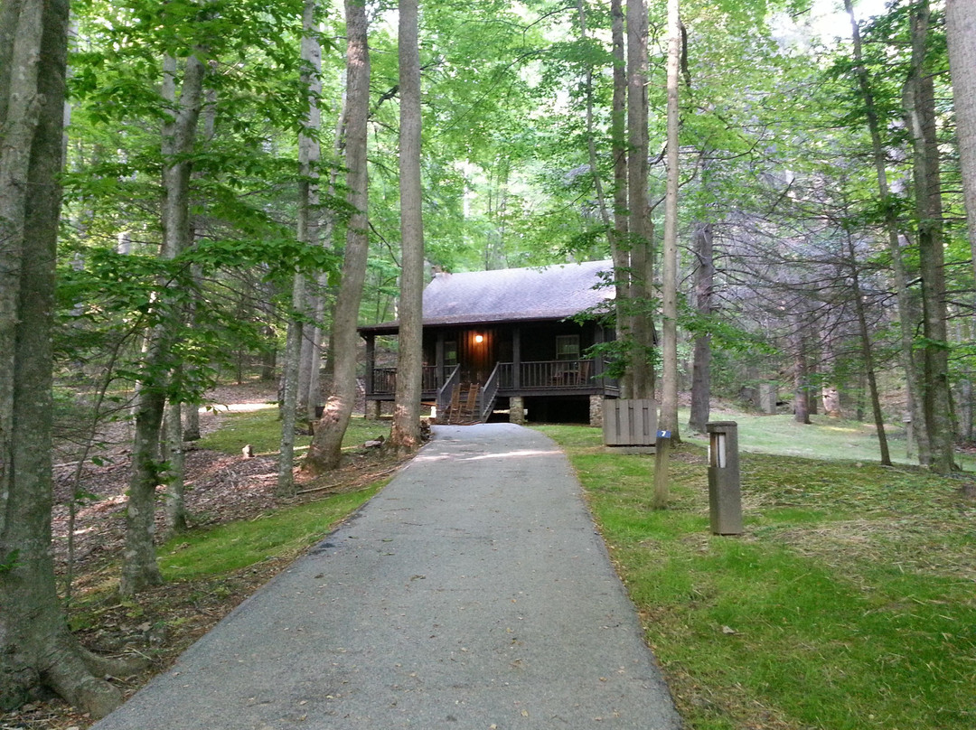 Roan Mountain State Park景点图片