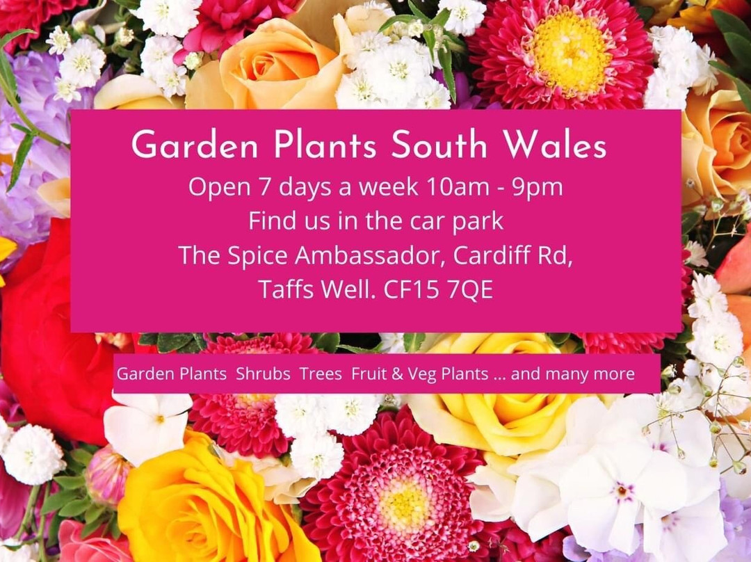 Garden Plants South Wales景点图片