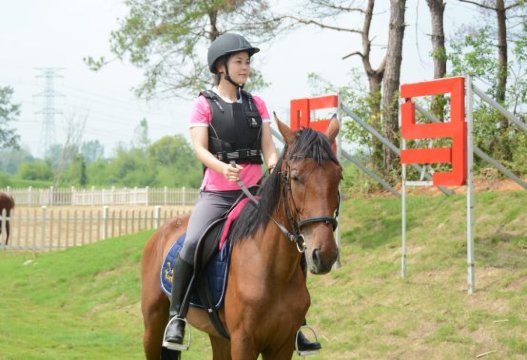 六安斯维登度假公寓悠然南山店-家庭/游戏区