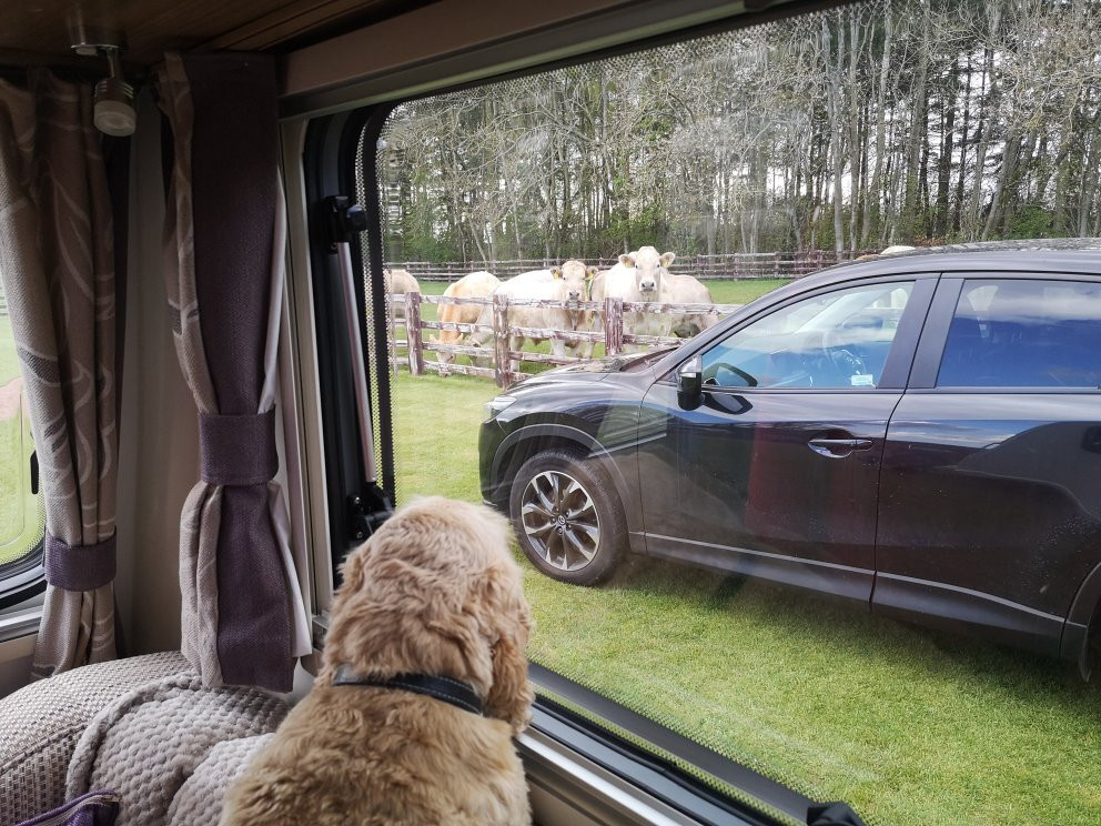 Low Hedgeley Farm