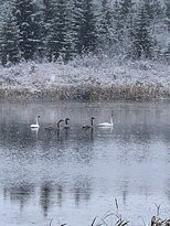 凯瑞伍德自然中心-红鹿市必去景点