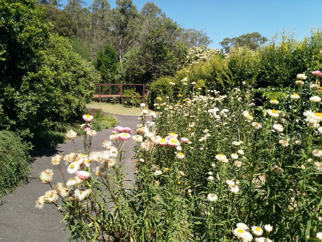 Lismore Rainforest Botanic Gardens景点图片