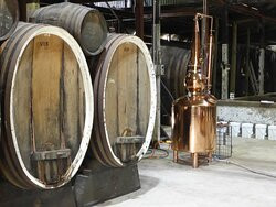 Buller Wines景点图片