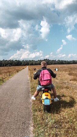 Veluwe Specialist Harderwijk-Harderwijk必去景点