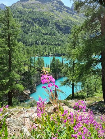 Lago di Place-Moulin景点图片