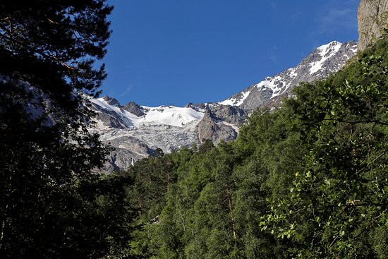 Skazskiy Glacier景点图片