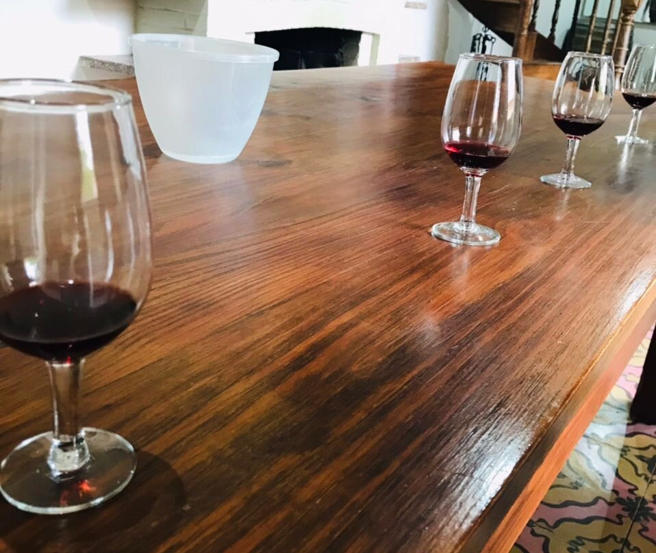 Bodegas Cavas de Don Arturo-Maipu必去景点