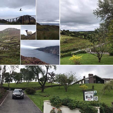 Bayside B&B-官方