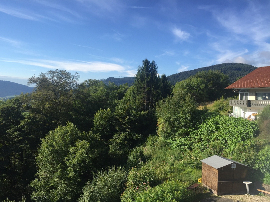 Seewald旅游攻略图片