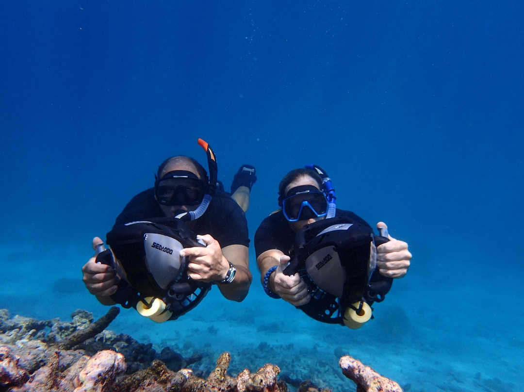 Aruba Bob Snorkel & Scuba-阿鲁巴岛必去景点