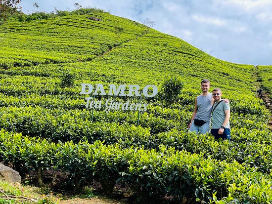 Thara Lanka Tours-科伦坡必去景点