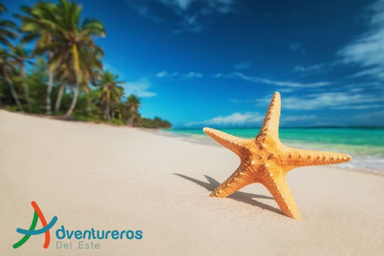 Adventureros Del Este