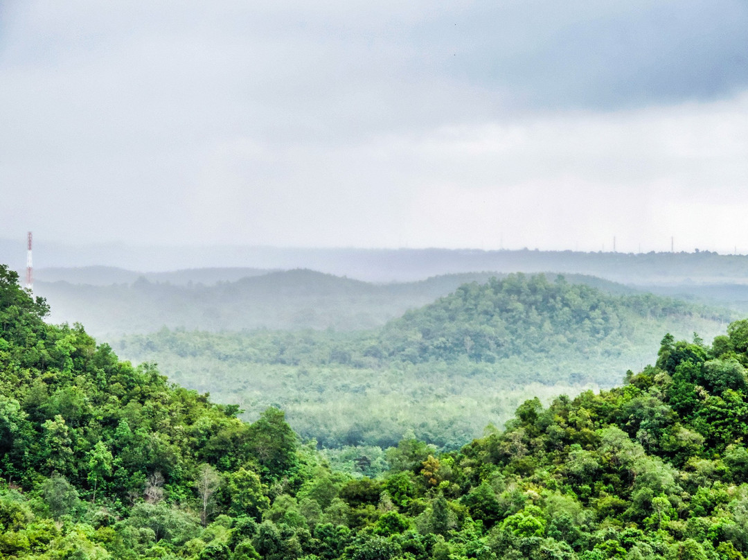 Sultan Adam Forest Park景点图片