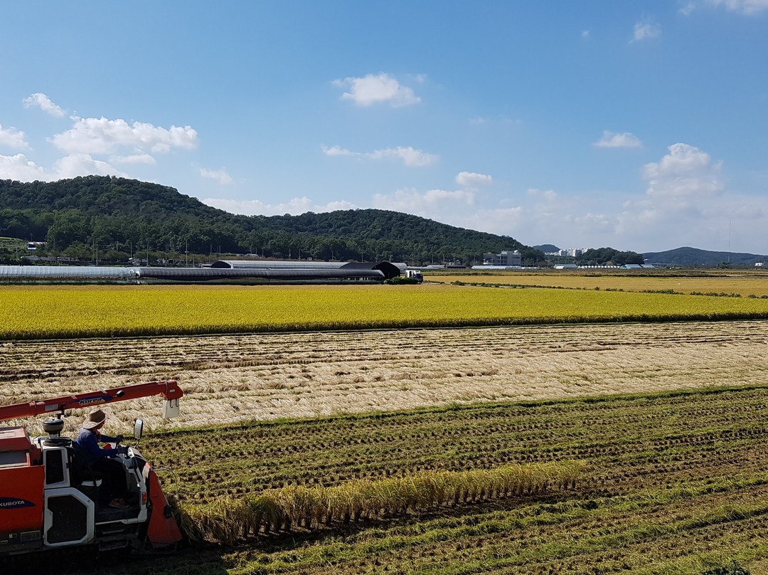 始兴市旅游景点-Hojobeol