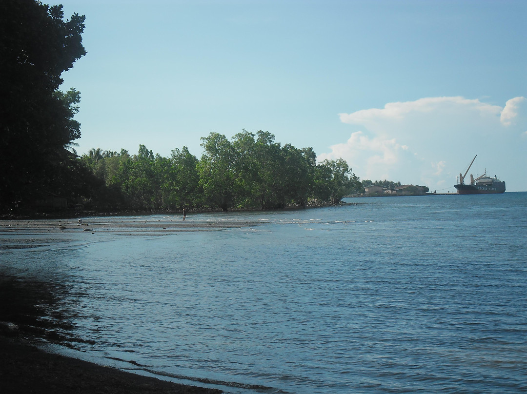 Badiangon Beach景点图片