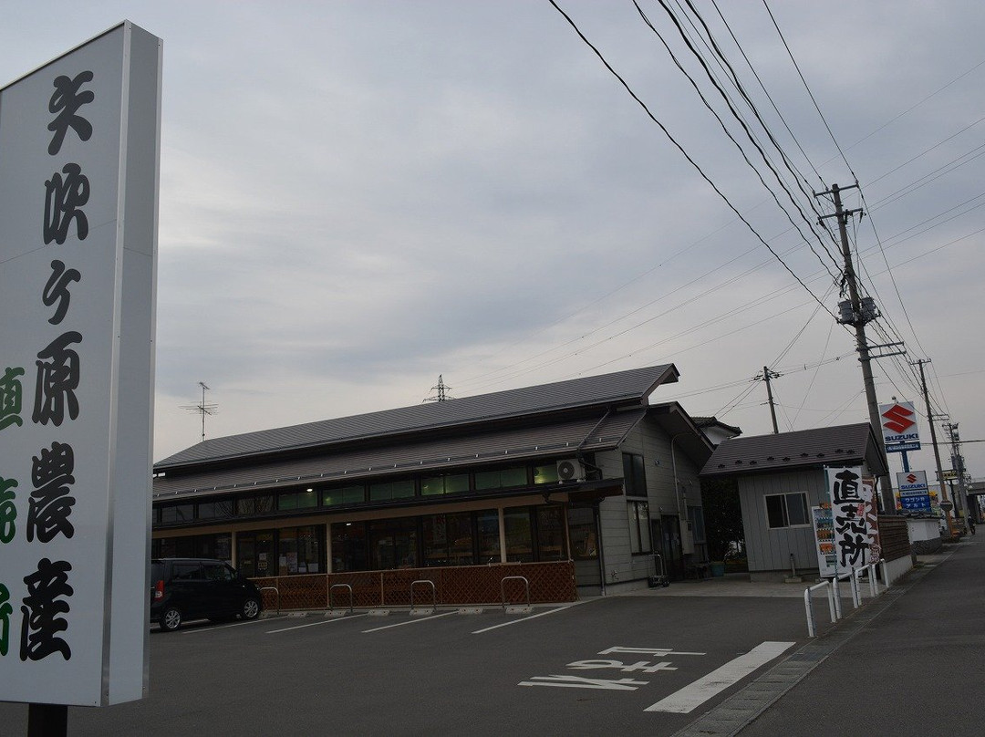 Yabukigahara Agricultural Farm Stand景点图片