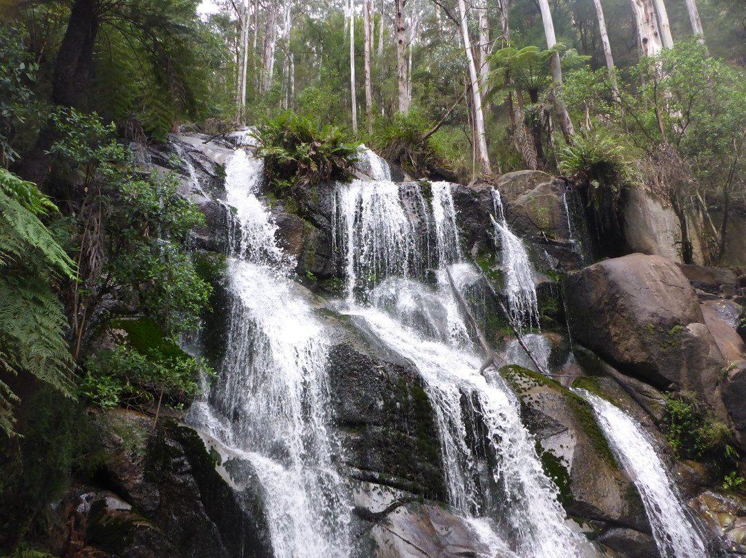 Noojee旅游攻略图片