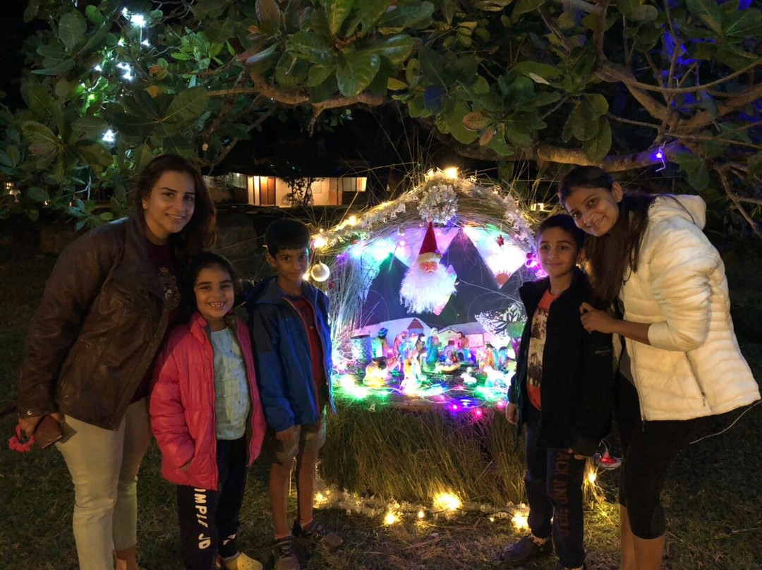 丛林小屋酒店主图