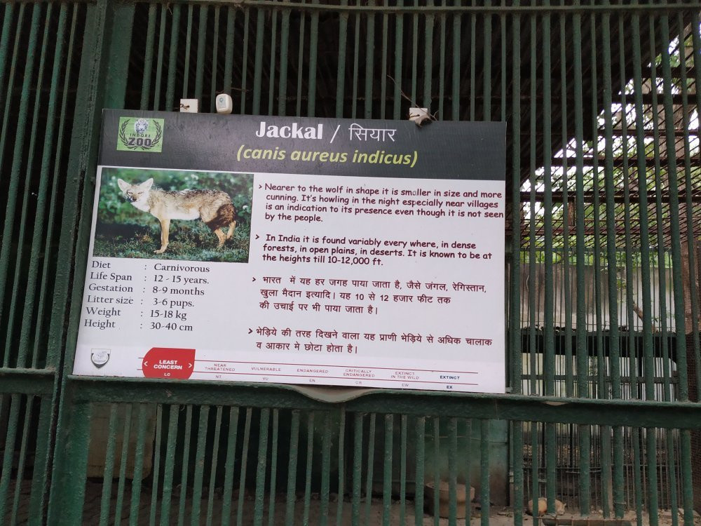 Indore Zoo景点图片