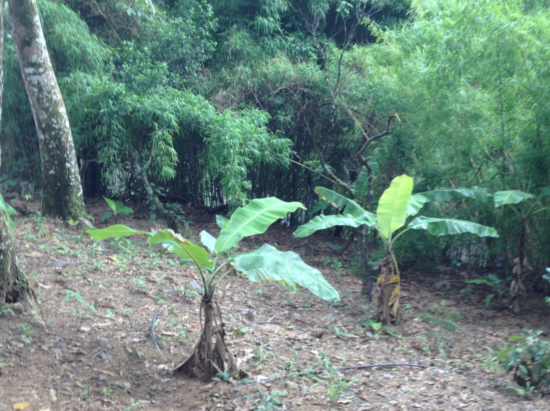 Serra de Baturite-Baturite必去景点